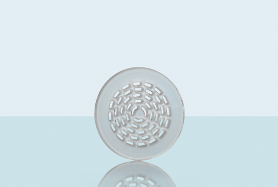 DURAN Slit sieves, for disc diameter 48mm, 10stk