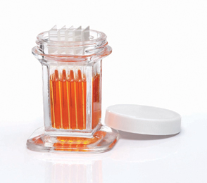 10 Slide Staining Jar With Wht PP Cap, 6 pcs