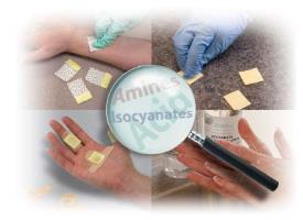 Cleaning Solution For Aromatic Amines 3.75 Ls