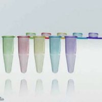 PCR tube 0.2 ml PP attached flat frosted cap PCR ready 20.000G. Ass. colours