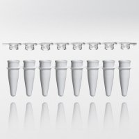 PCR tubes 0.2 ml white PP strips w/8 tubes incl. flat caps as strips PCR ready 6.000G
