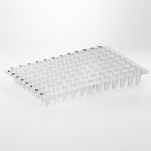PCR plate 96 wells 0.1 ml low profile natural PP