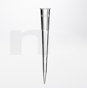 Pipette tip 20 µl extra long Sterile R 96 tips/rack RNase DNase Pyrogen and DNA free