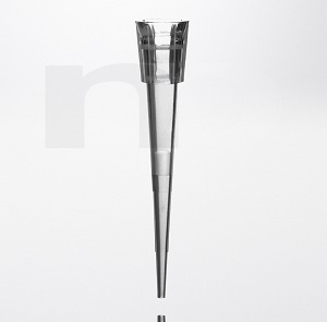 Filter tip 10 µl short Sterile R RNase DNase Pyrogen and DNA free