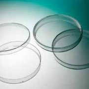 Petri dish PS 90 x 16.2 mm Sterile A without vents. 24 bags of 20 pcs.