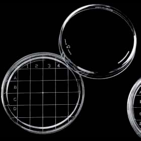 Contact plate PS 65.8 x 14.7 mm Sterile A without vents. 25 tubes with 20 pcs.