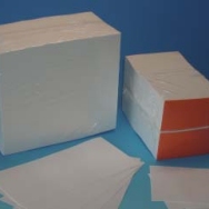 Electroforese wick no 1 100 x 200 mm