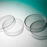 Petri dish PS 55 x 14.2 mm Sterile A with 6 vents. 108 tubes with 15 pcs.