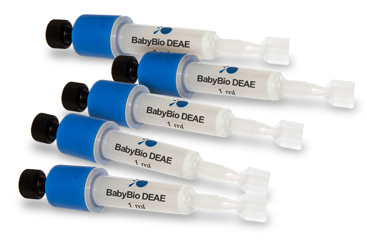 BabyBio kolonne DEAE 1 mL x 5