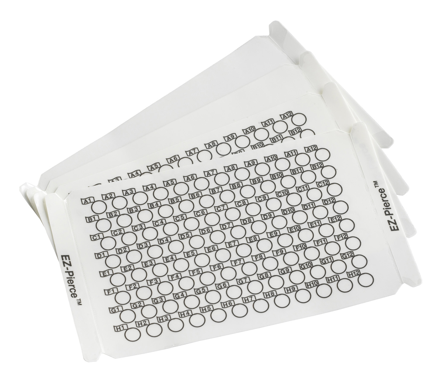 X-pierce film 96 pos. plade rund, 100stk