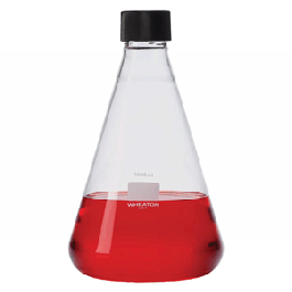 25 mL Flask, Erlenmeyer, 20-400